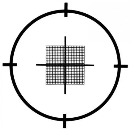 S29-pattern