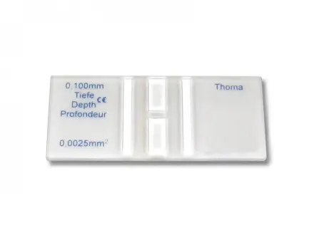 Thoma