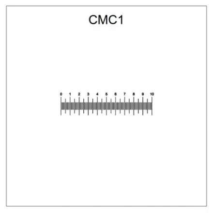 CMC1