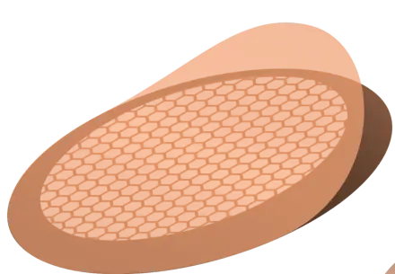 formvar_coating