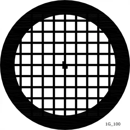 100Mesh-1g_100