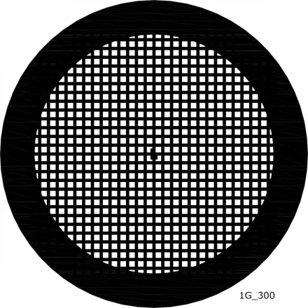 300Mesh-1g_300