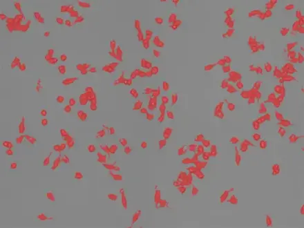 Cell Confluence