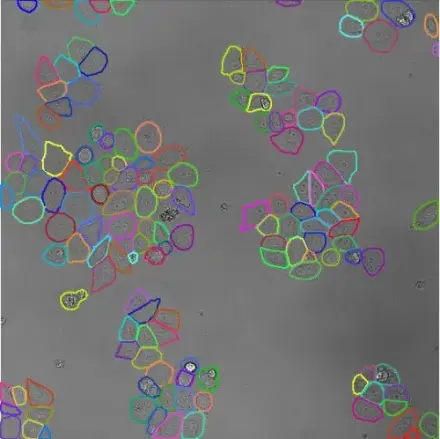 Cell Count