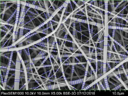 Fiber Thickness (EM)