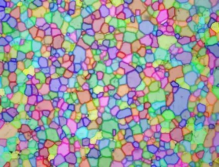 Grains
