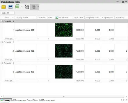 Multi-image collected data