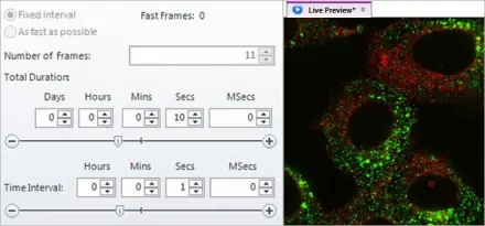 Fixed Interval vs Fast as Possible