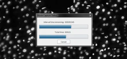 Stream to Disk