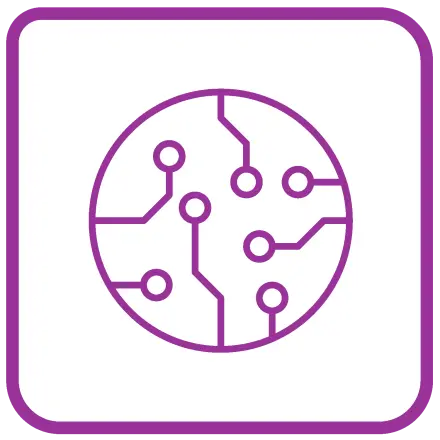 2D Automated Analysis
