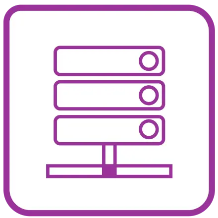 License Server