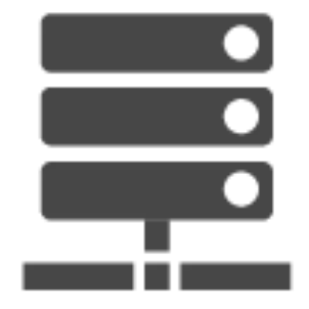 License Server
