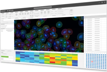 Image Analysis Platform