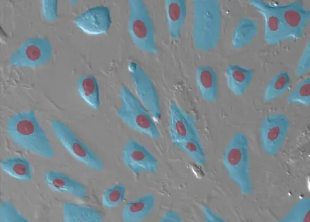 Unlabeled Cells
