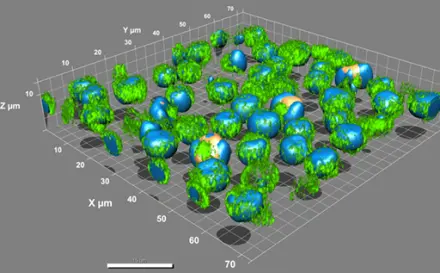 3D Analysis & Visualization