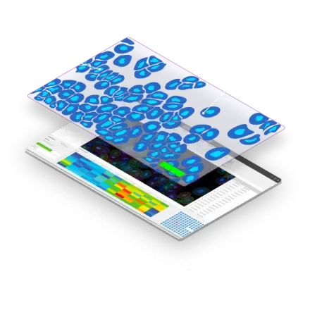 Image-Pro 影像分析軟體