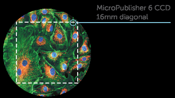 MicroPublisher 6 FieldOfView
