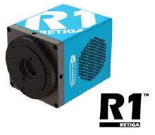 QIMAGING Retiga R1 ™ CCD
